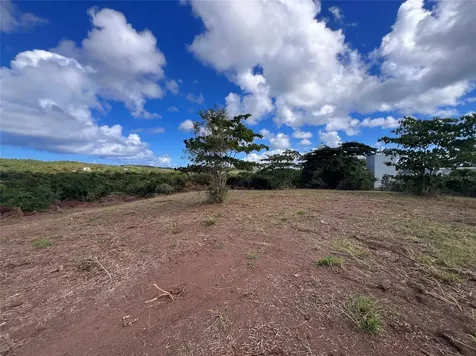 D8 Puerto Real Remanente Vieques PR 00765