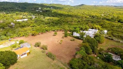 D8 Puerto Real Remanente Vieques PR 00765