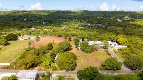 D8 Puerto Real Remanente Vieques PR 00765