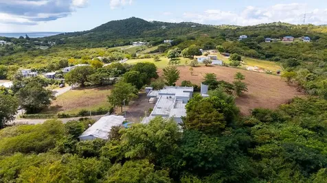 D8 Puerto Real Remanente Vieques PR 00765