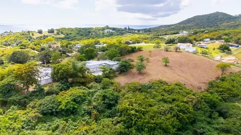 D8 Puerto Real Remanente Vieques PR 00765