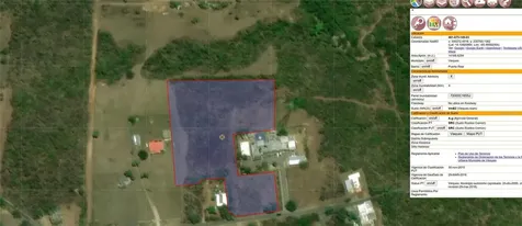 D8 Puerto Real Remanente Vieques PR 00765