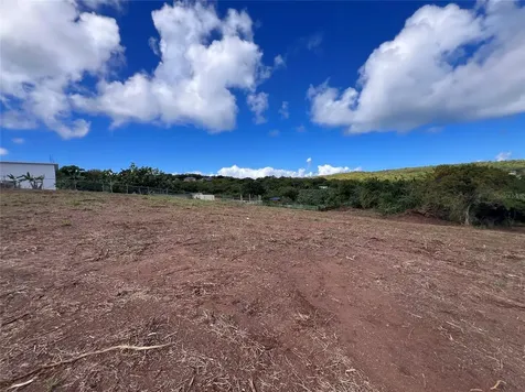 D8 Puerto Real Remanente Vieques PR 00765