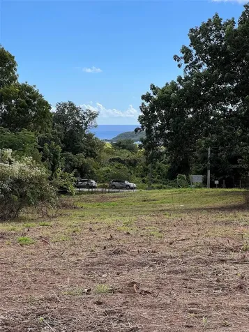 D8 Puerto Real Remanente Vieques PR 00765
