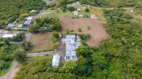 D8 Puerto Real Remanente Vieques PR 00765
