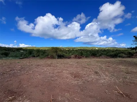 D8 Puerto Real Remanente Vieques PR 00765