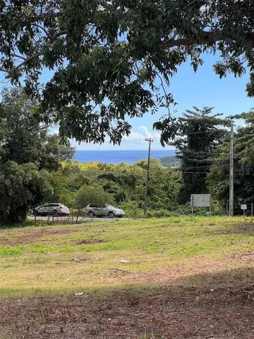 D8 Puerto Real Remanente Vieques PR 00765