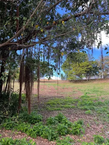 D8 Puerto Real Remanente Vieques PR 00765
