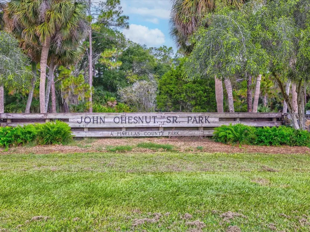3718 Jacmel Way Palm Harbor FL 34685