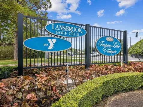 3718 Jacmel Way Palm Harbor FL 34685