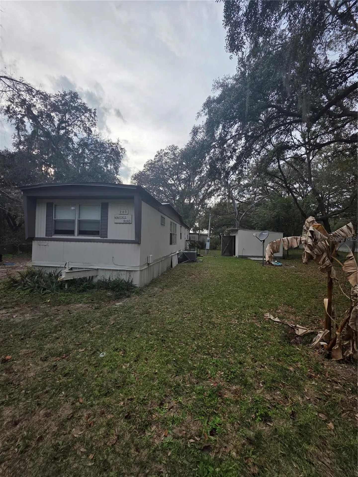 205 Little Star Road Hawthorne FL 32640