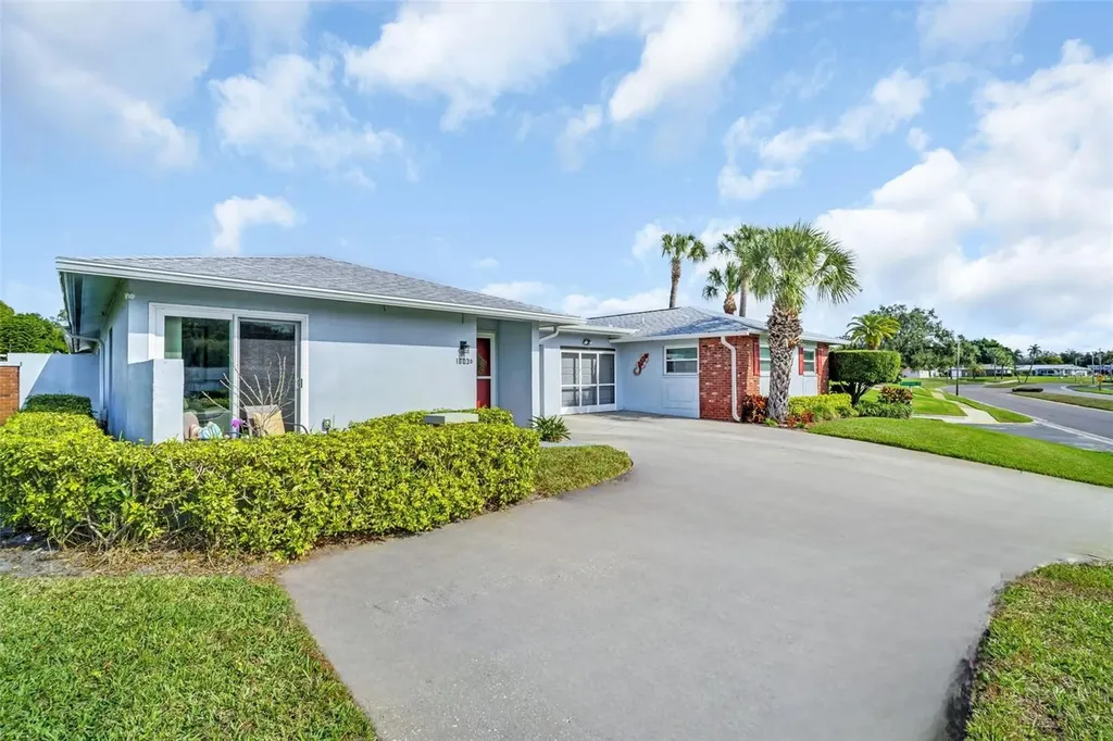 1603 Whitebridge Drive Palm Harbor FL 34684
