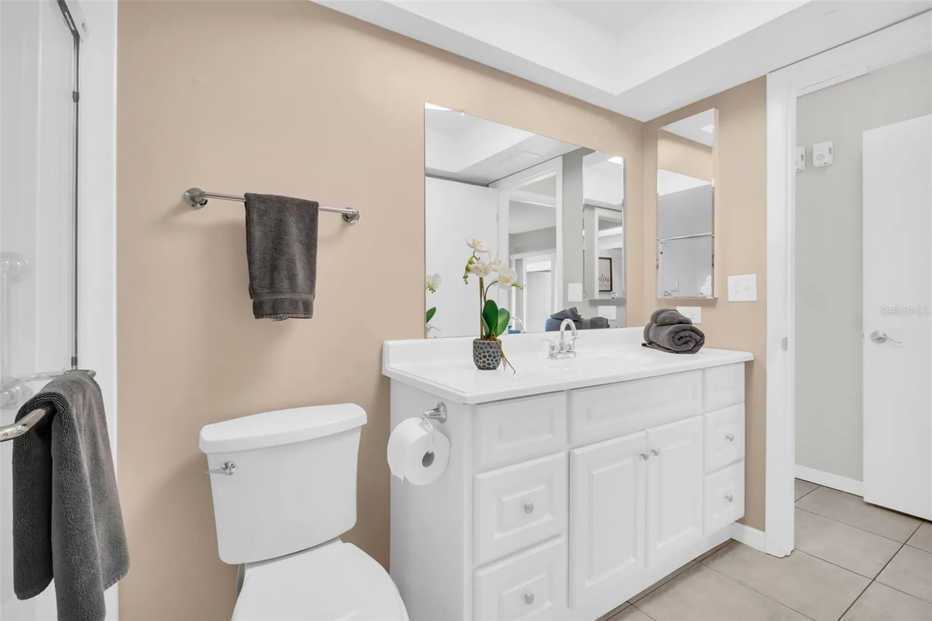 1603 Whitebridge Drive Palm Harbor FL 34684