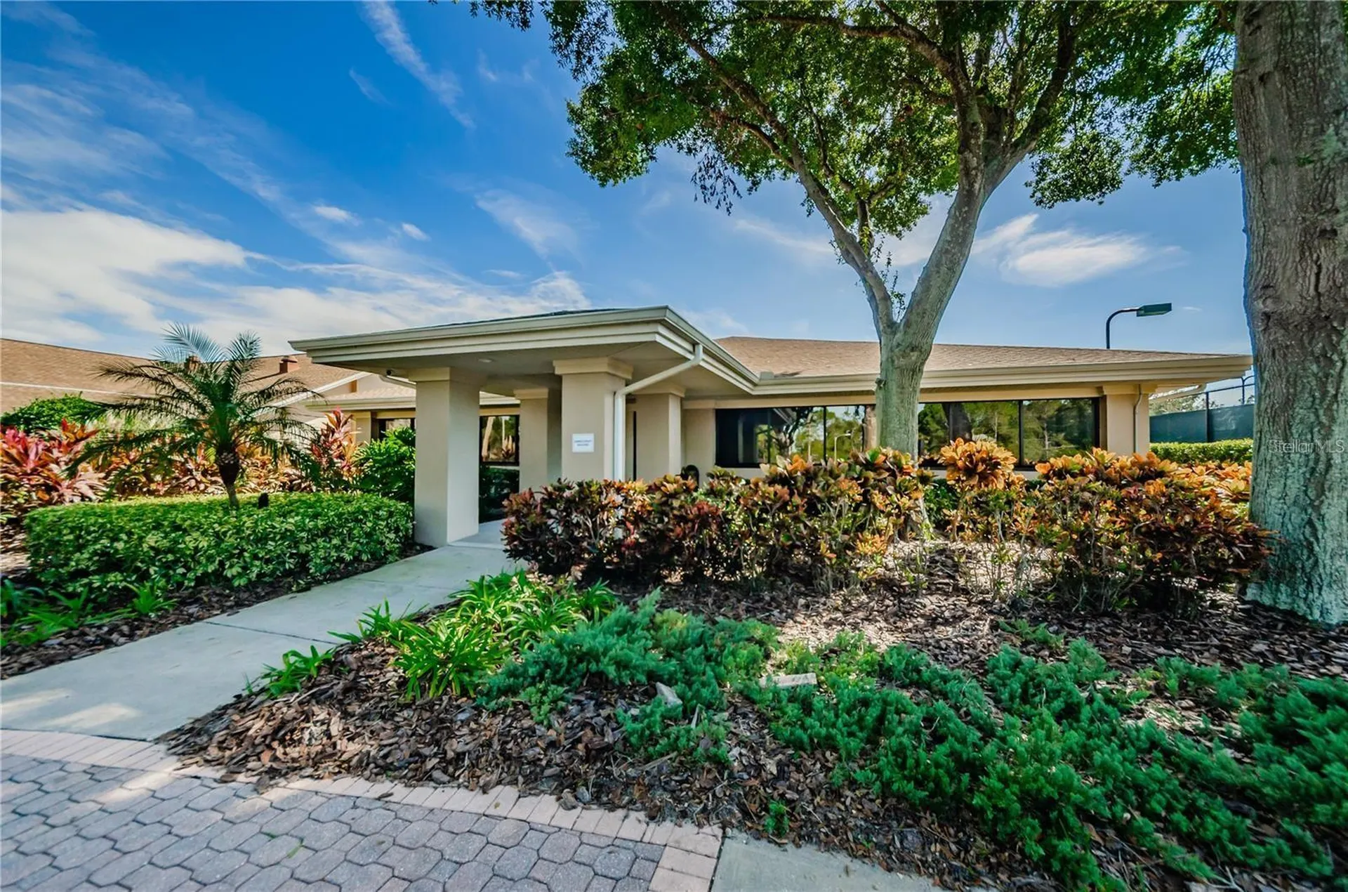 1603 Whitebridge Drive Palm Harbor FL 34684