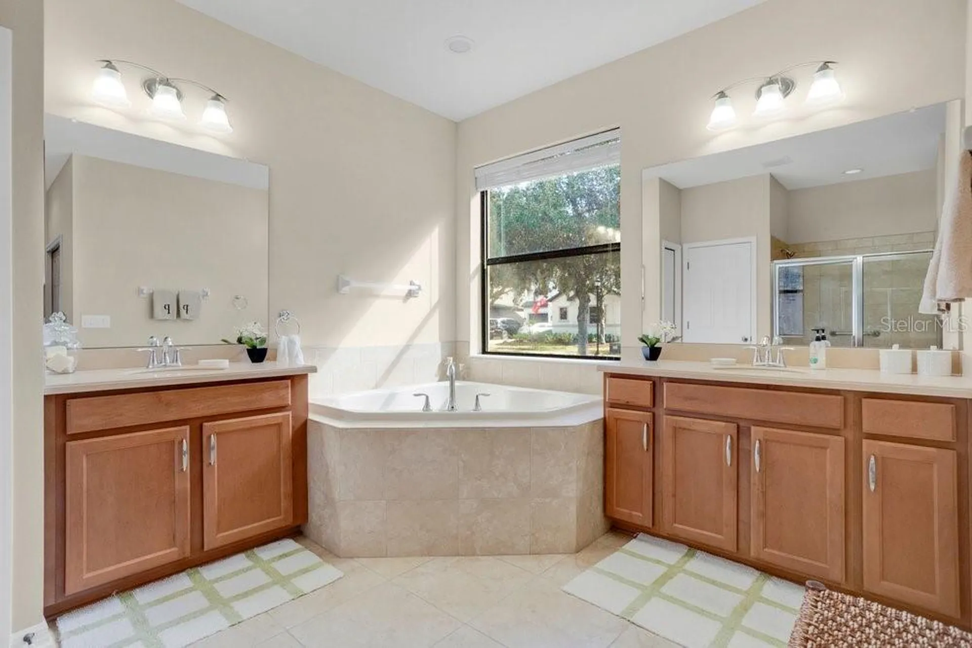 19402 Sweet Grass Way Lutz FL 33558