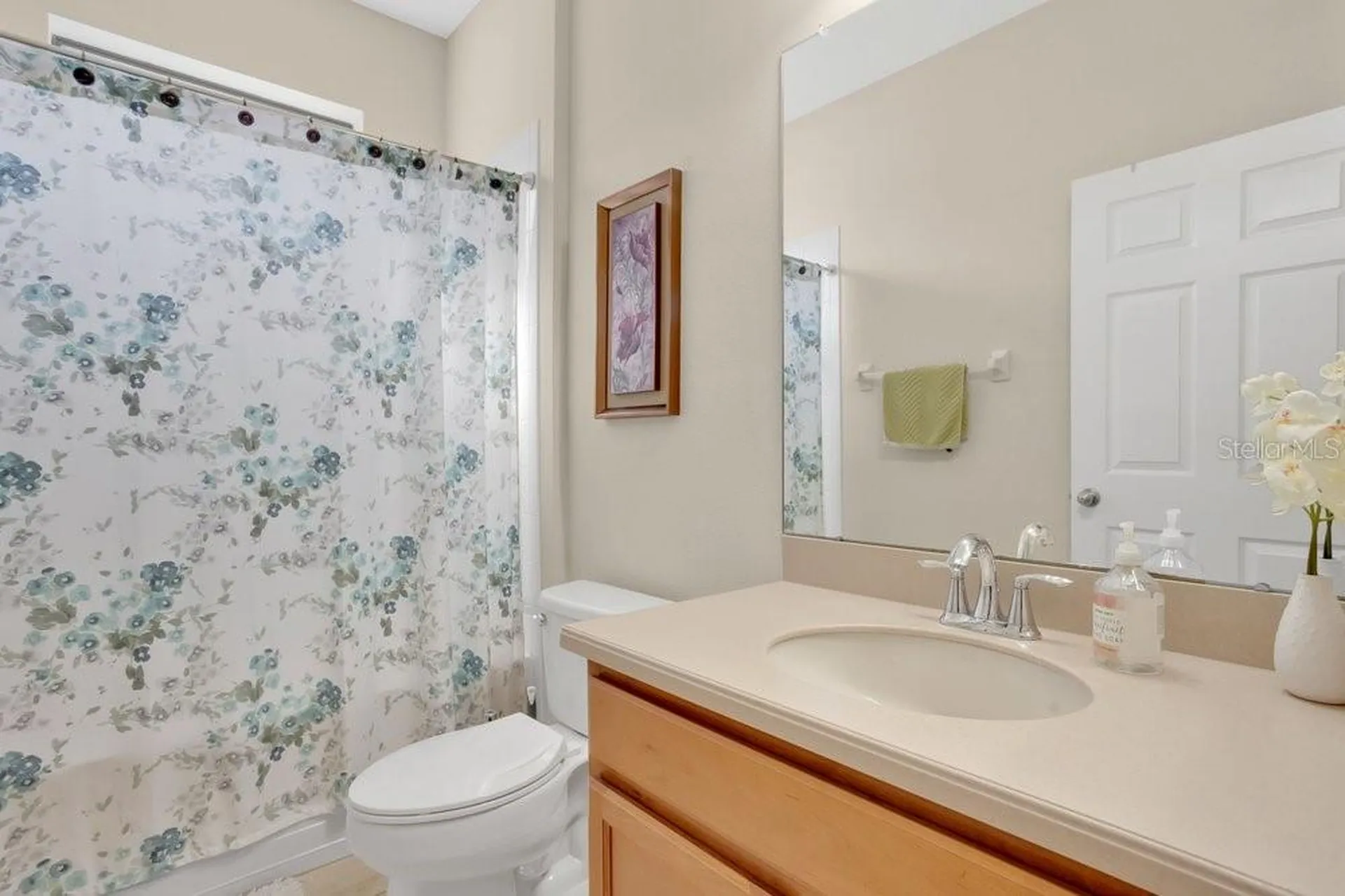 19402 Sweet Grass Way Lutz FL 33558