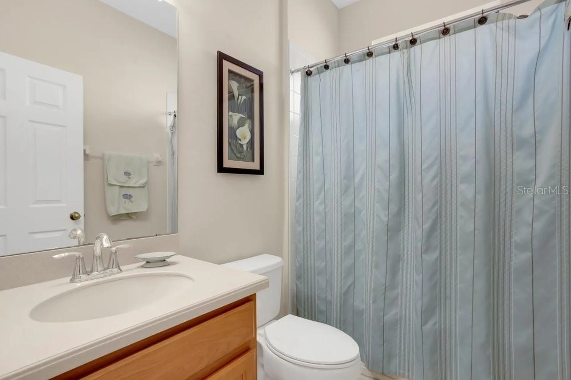 19402 Sweet Grass Way Lutz FL 33558