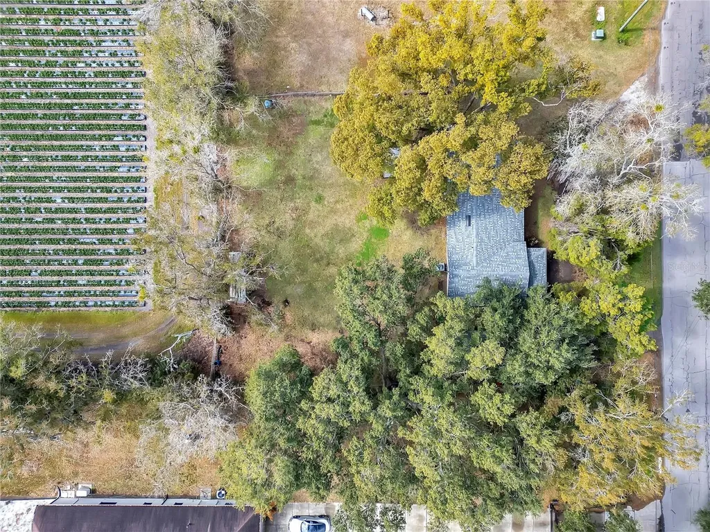 13713 Walden Sheffield Road Dover FL 33527