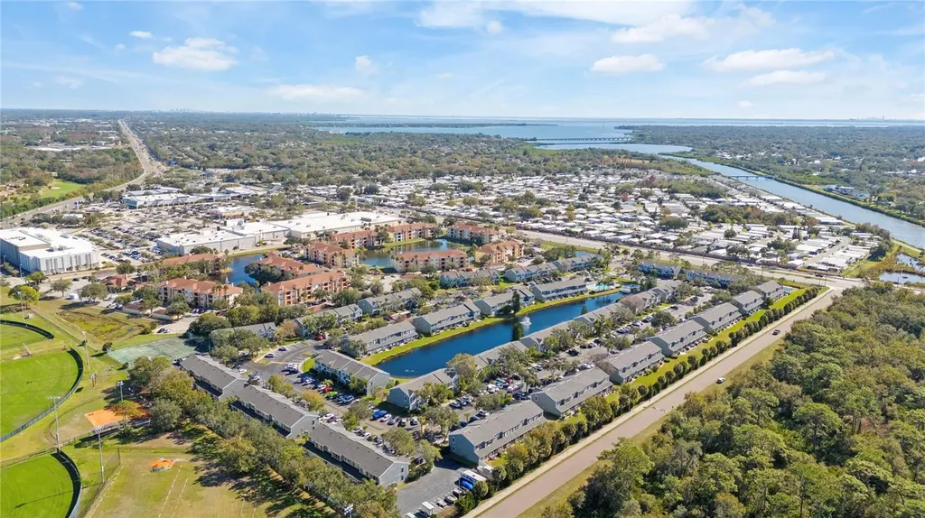 291 Countryside Key Boulevard Oldsmar FL 34677