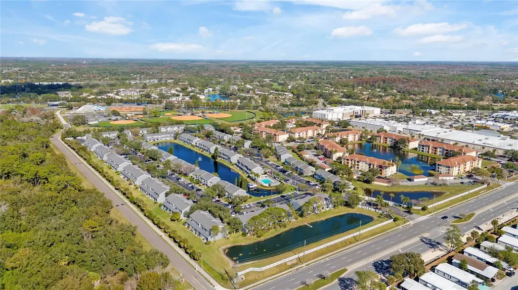 291 Countryside Key Boulevard Oldsmar FL 34677