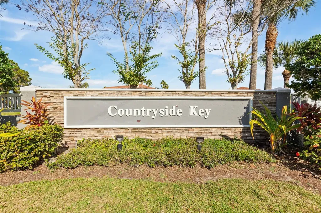 291 Countryside Key Boulevard Oldsmar FL 34677