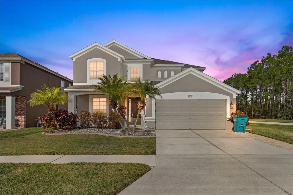 30419 Princess Bay Drive Wesley Chapel FL 33545