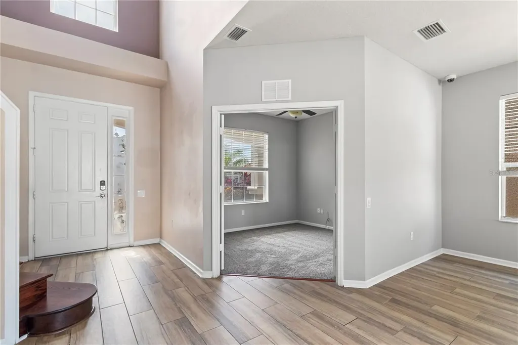 30419 Princess Bay Drive Wesley Chapel FL 33545