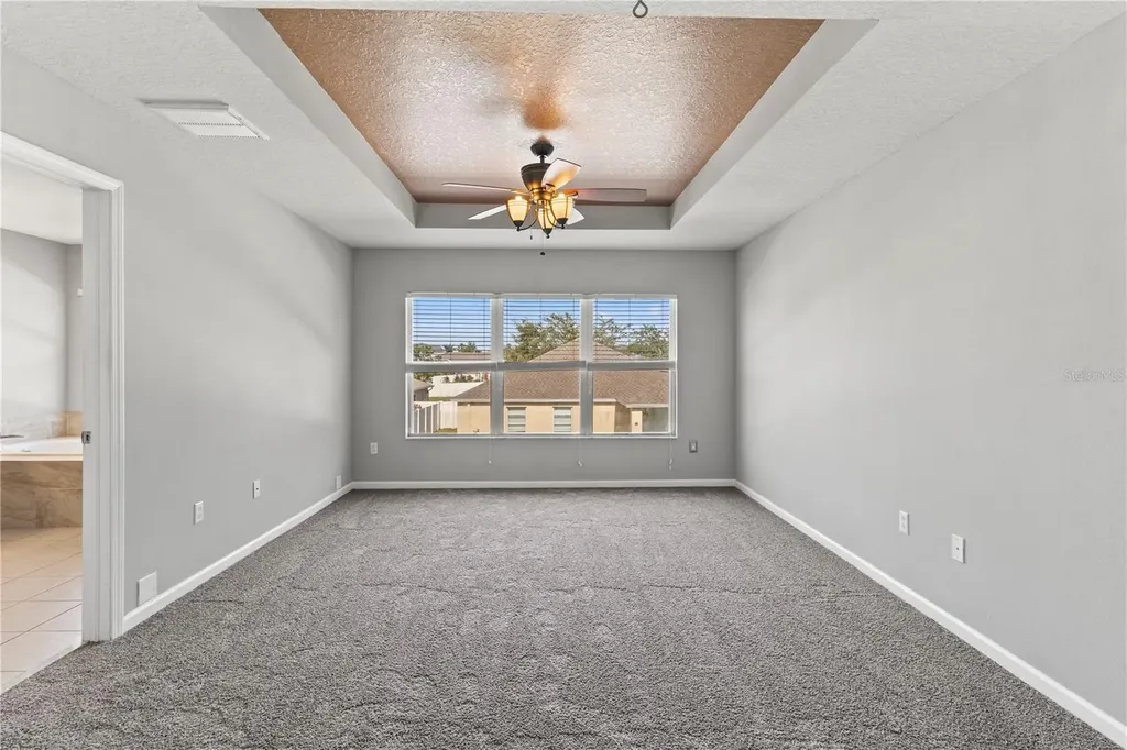 30419 Princess Bay Drive Wesley Chapel FL 33545