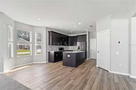 30419 Princess Bay Drive Wesley Chapel FL 33545