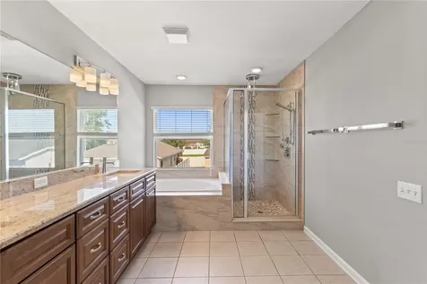 30419 Princess Bay Drive Wesley Chapel FL 33545
