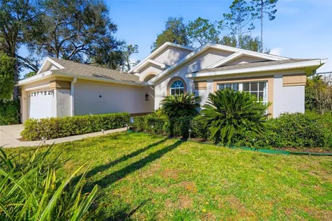 5712 Whitebark Drive Wesley Chapel FL 33543