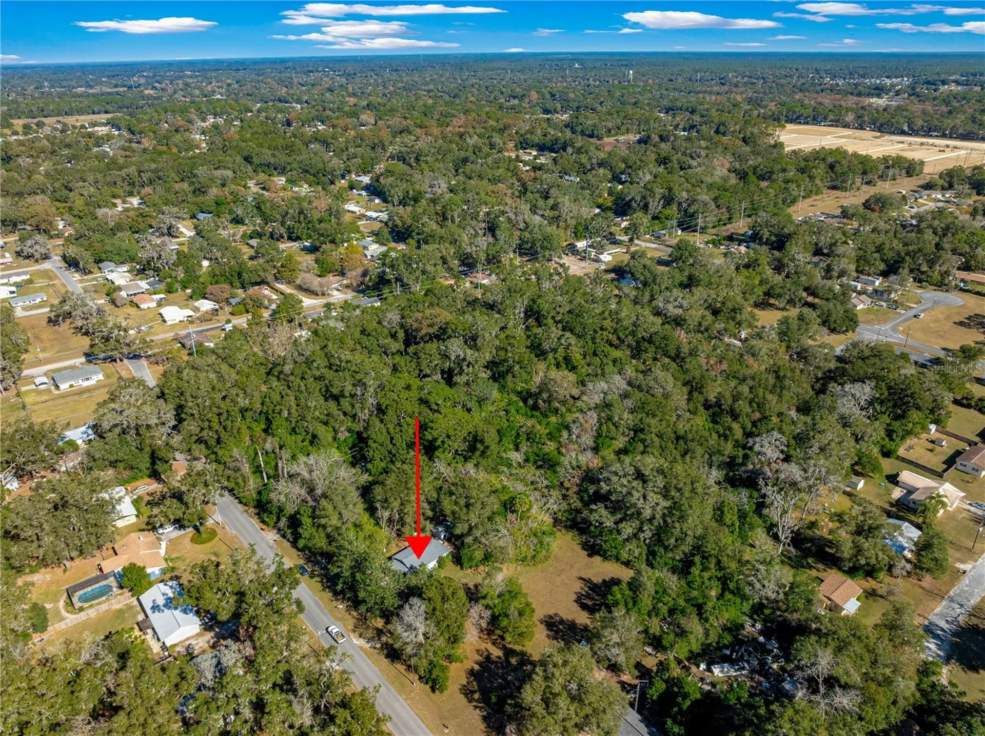 2917 NE 14th Avenue Ocala FL 34479