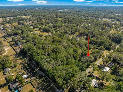 2917 NE 14th Avenue Ocala FL 34479