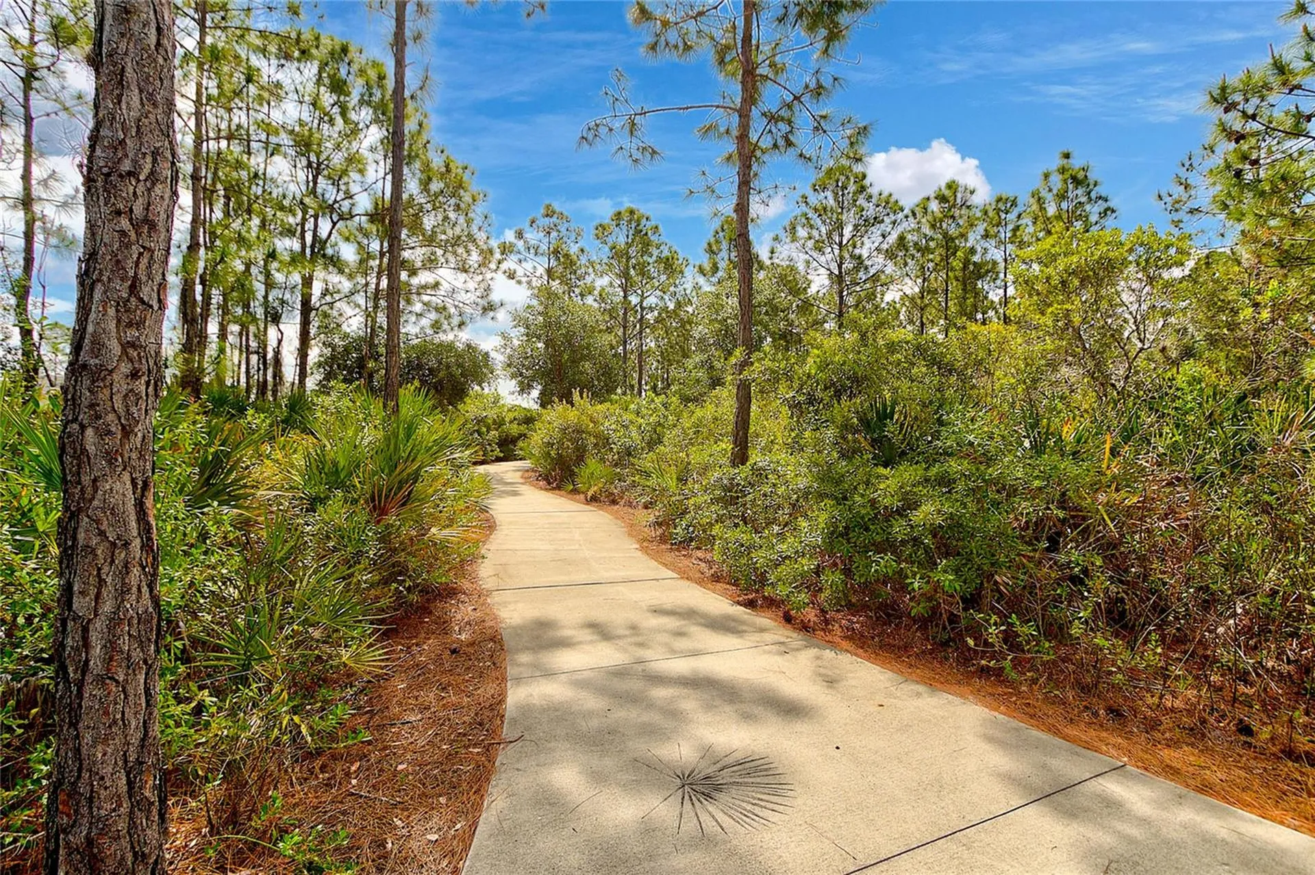 12471 Sagewood Drive Venice FL 34293