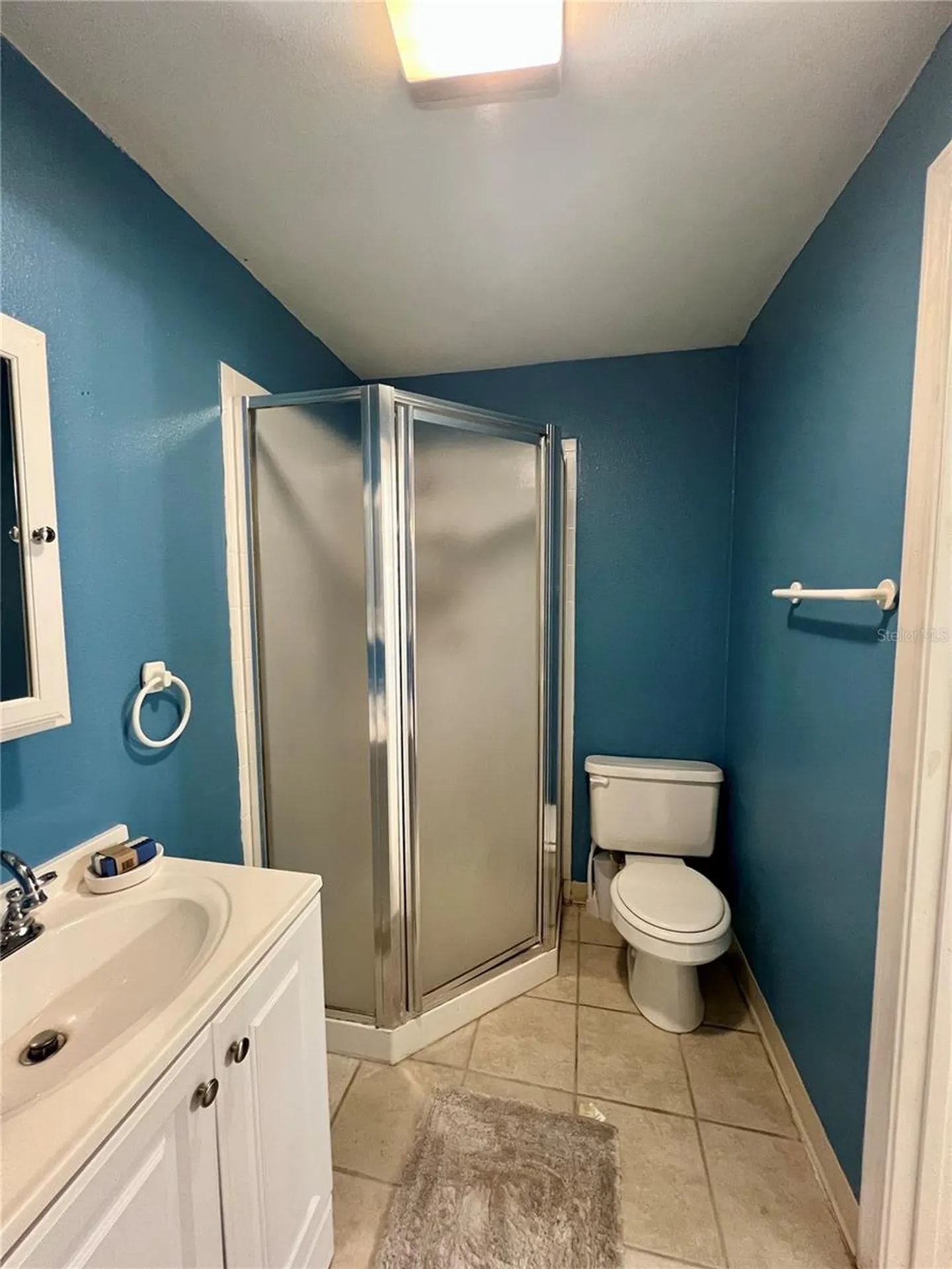 2908 W Heiter Street Tampa FL 33607