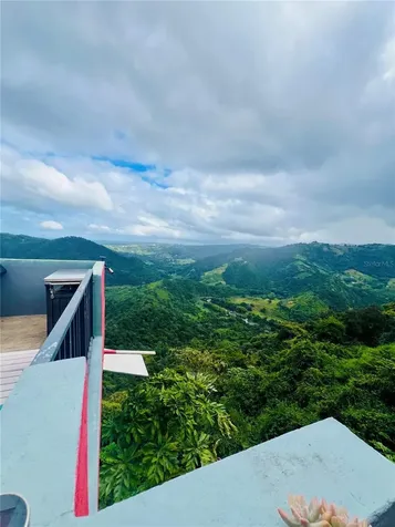 149 Route Ciales PR 00638