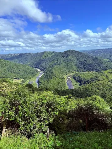 149 Route Ciales PR 00638