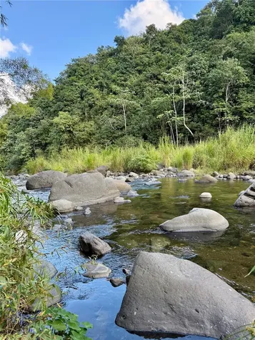 149 Route Ciales PR 00638