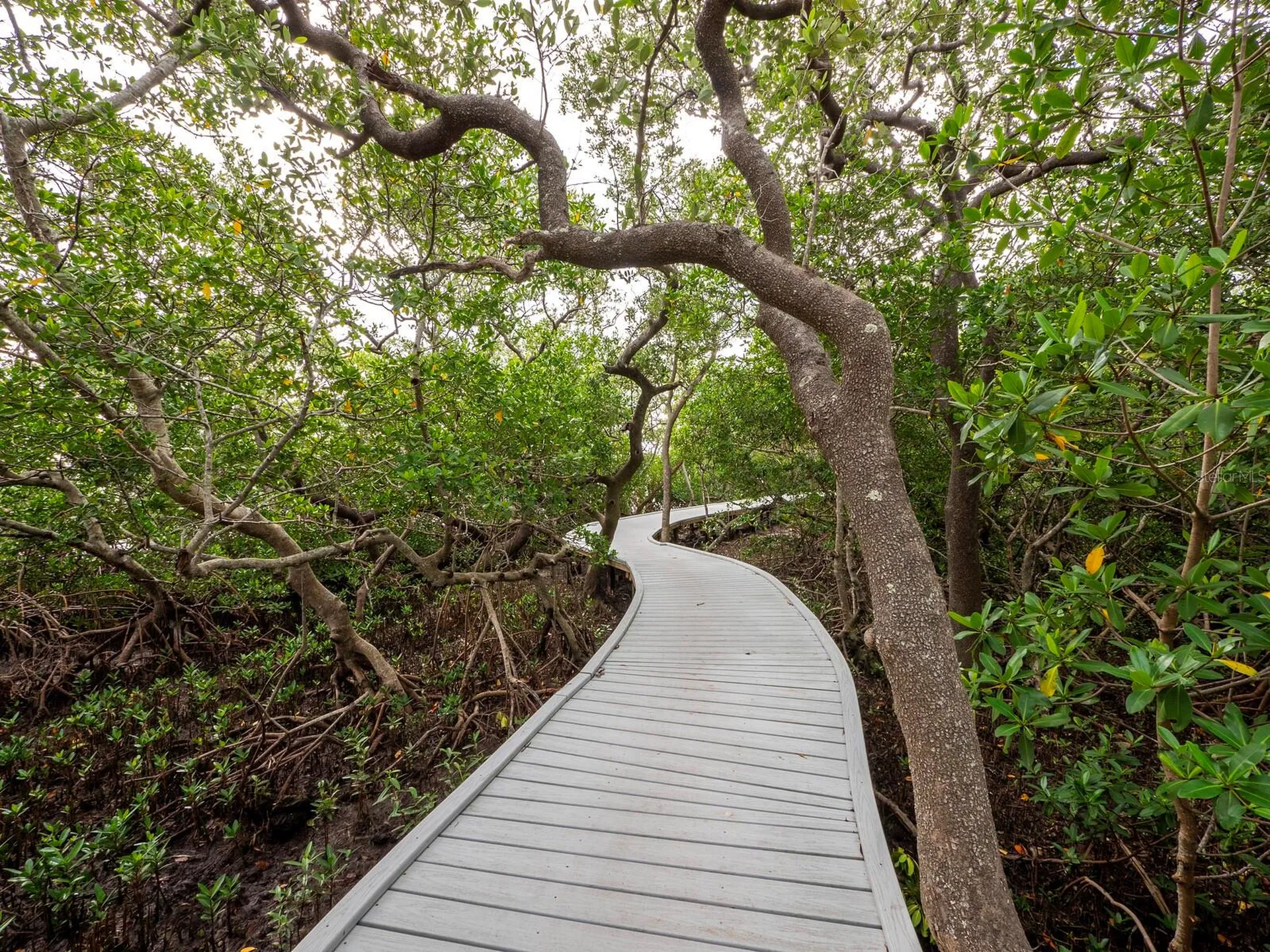 744 Jungle Queen Way Longboat Key FL 34228
