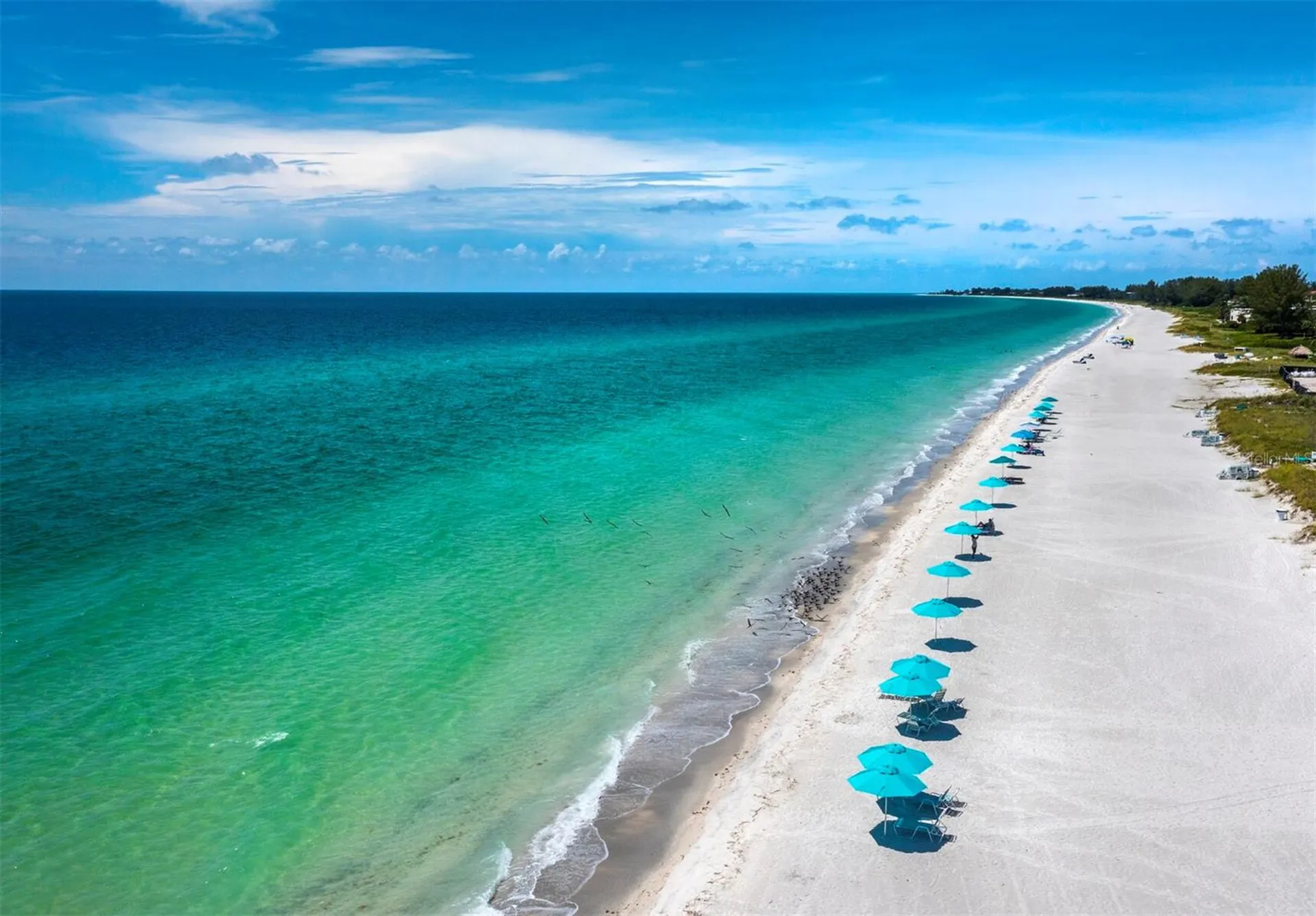 744 Jungle Queen Way Longboat Key FL 34228
