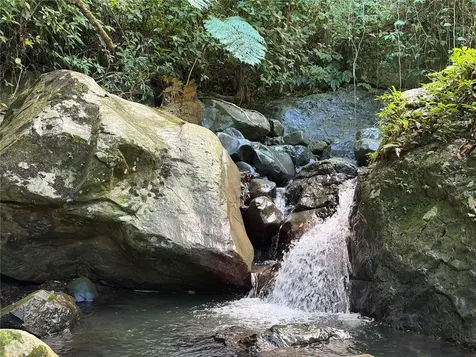 Cam. La Vega Orocovis PR 00720