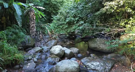 Cam. La Vega Orocovis PR 00720