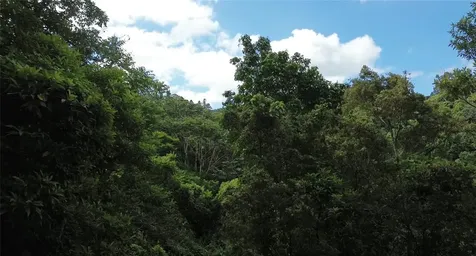 Cam. La Vega Orocovis PR 00720