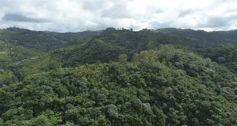 Cam. La Vega Orocovis PR 00720