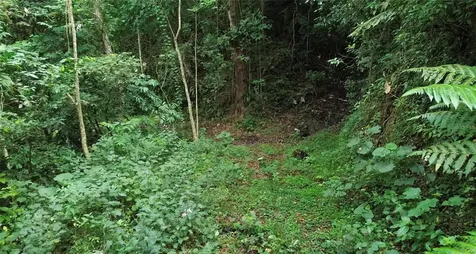 Cam. La Vega Orocovis PR 00720