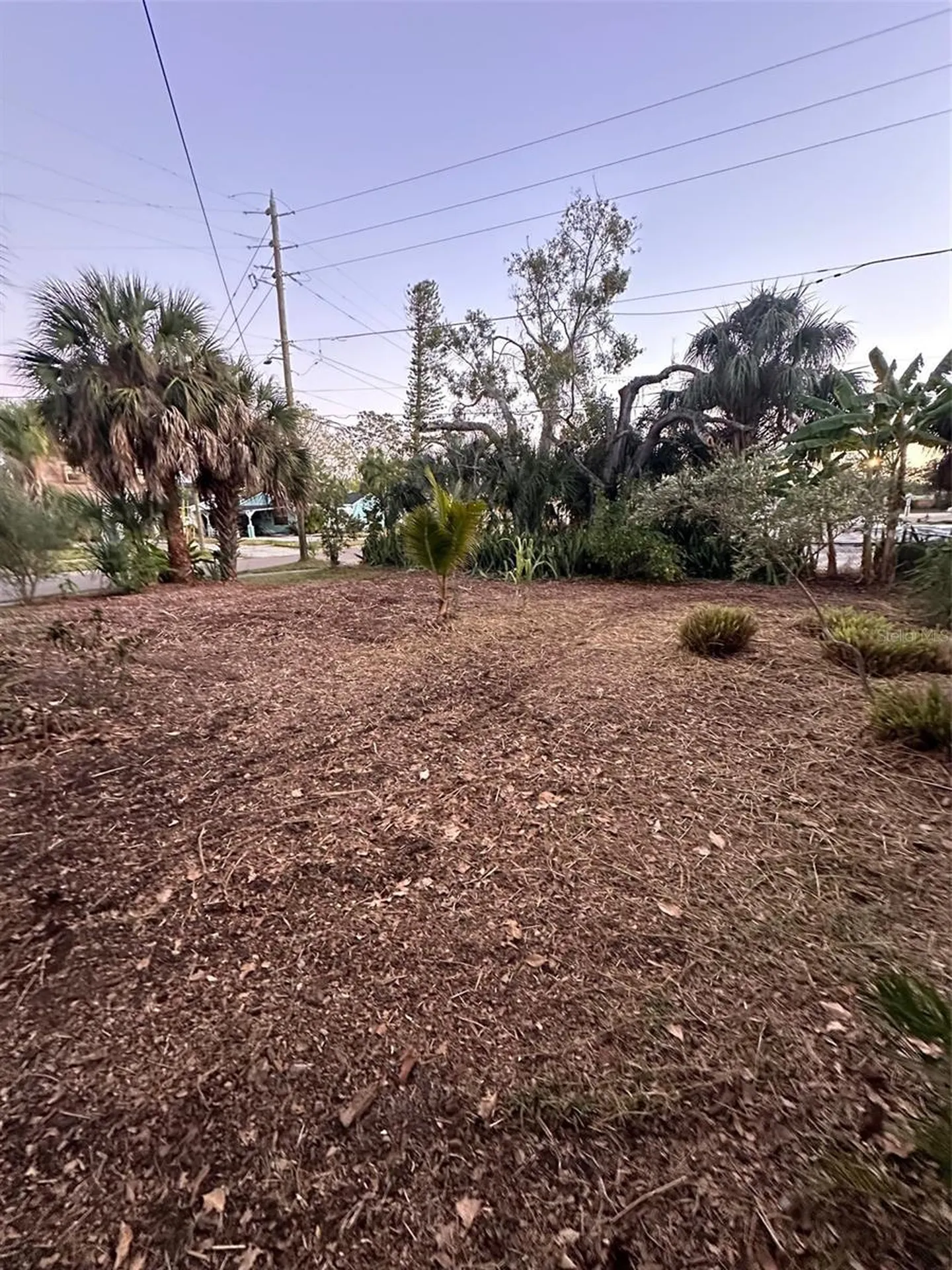 4101 4th Street S St Petersburg FL 33705