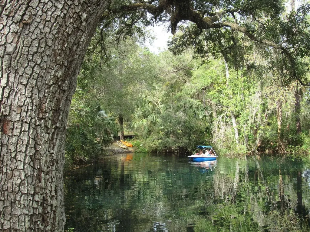 18956 SW 93rd Loop Dunnellon FL 34432