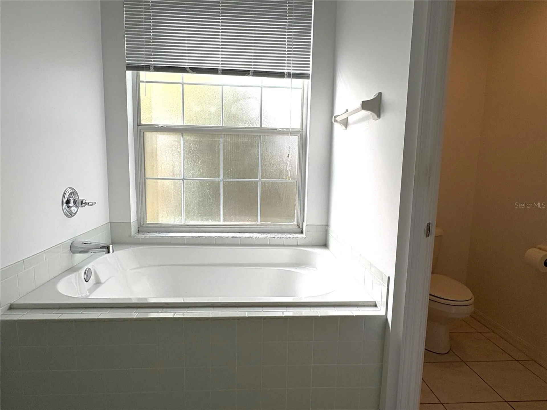 18956 SW 93rd Loop Dunnellon FL 34432