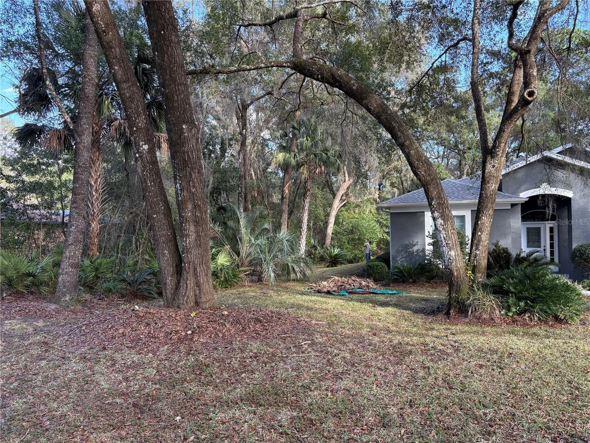 18956 SW 93rd Loop Dunnellon FL 34432