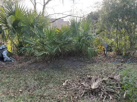 18956 SW 93rd Loop Dunnellon FL 34432